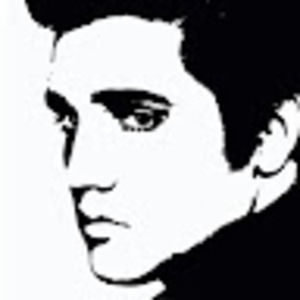 Meet your Posher, Anika